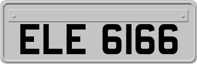ELE6166