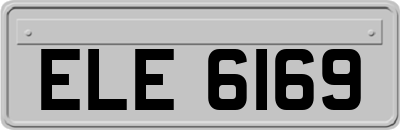 ELE6169
