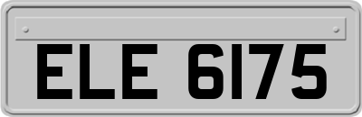 ELE6175