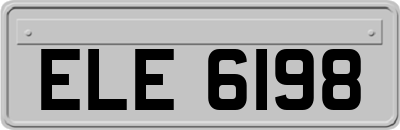 ELE6198