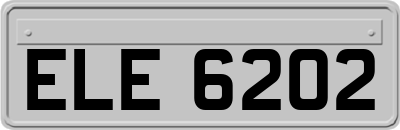 ELE6202