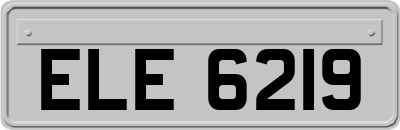 ELE6219