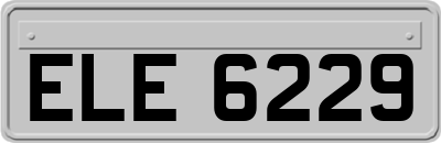 ELE6229