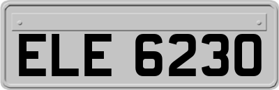 ELE6230