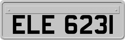 ELE6231