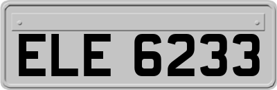 ELE6233