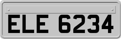 ELE6234