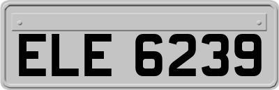 ELE6239