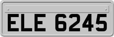 ELE6245