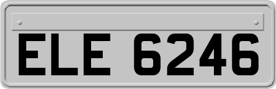 ELE6246