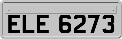 ELE6273