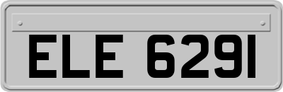 ELE6291