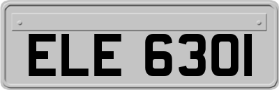 ELE6301
