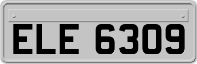 ELE6309