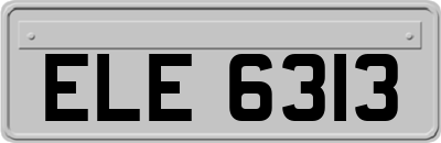 ELE6313