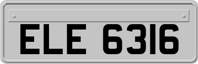 ELE6316