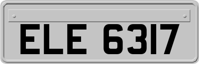 ELE6317