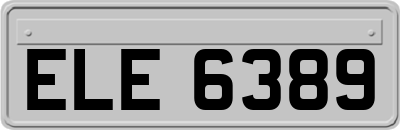 ELE6389