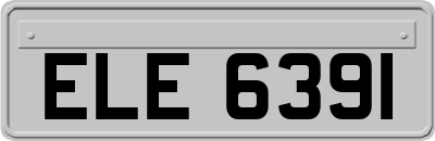 ELE6391