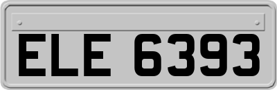 ELE6393