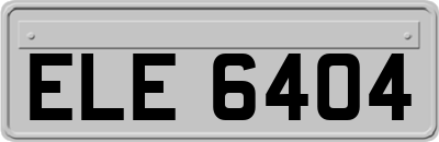 ELE6404
