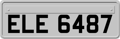 ELE6487