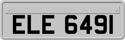 ELE6491