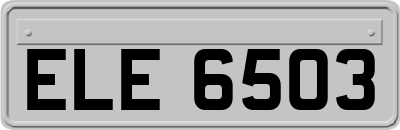 ELE6503