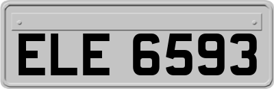 ELE6593