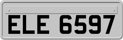 ELE6597