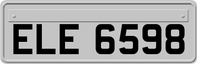 ELE6598
