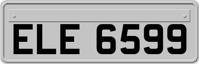 ELE6599