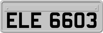 ELE6603