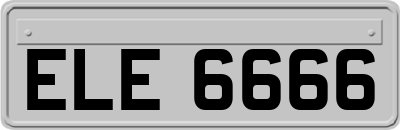 ELE6666