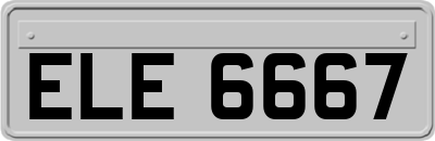 ELE6667