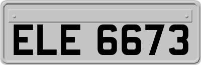 ELE6673