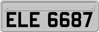 ELE6687