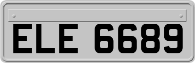 ELE6689