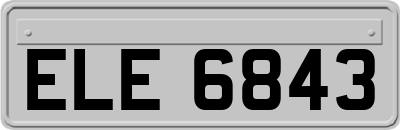 ELE6843