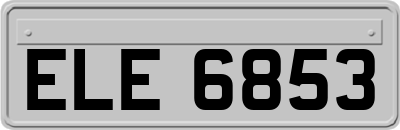 ELE6853