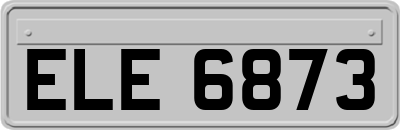ELE6873