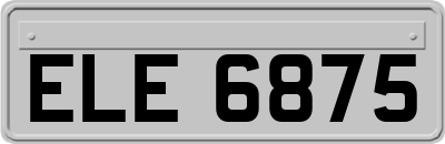 ELE6875