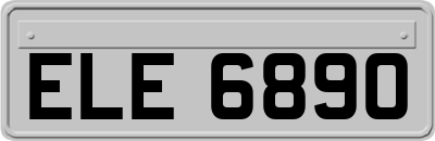 ELE6890