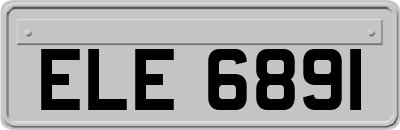 ELE6891