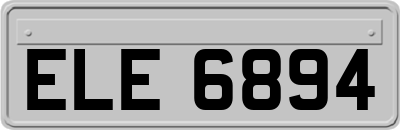 ELE6894