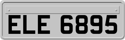 ELE6895
