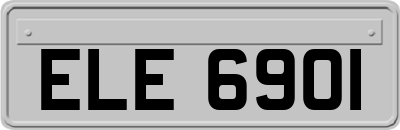 ELE6901