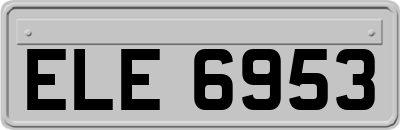 ELE6953