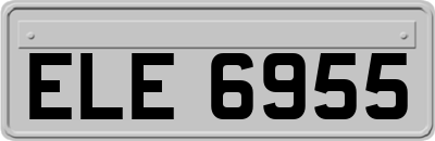 ELE6955