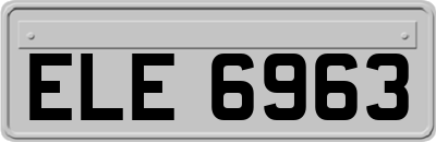 ELE6963